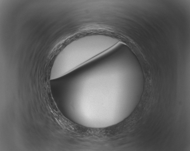 X0000085740775200703160902