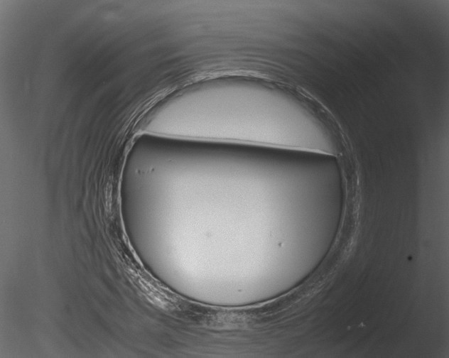 X0000085740777200703160902