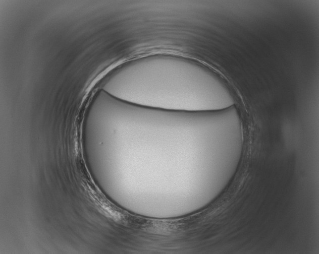 X0000085740782200703160902