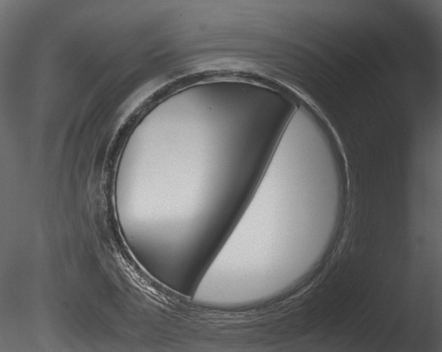 X0000085740783200703160902
