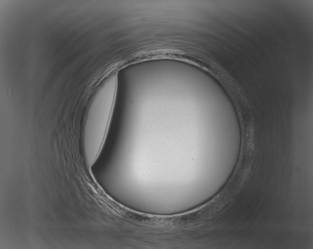 X0000085740785200703160902