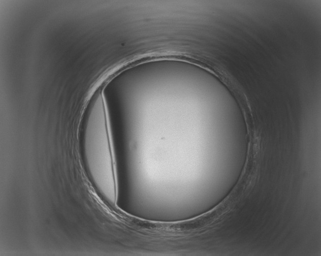 X0000085740789200703160902