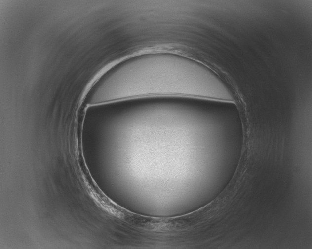 X0000085740792200703160902