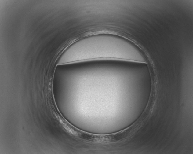 X0000085740793200703160902