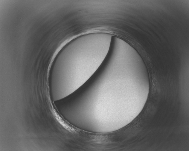 X0000085740800200703160902