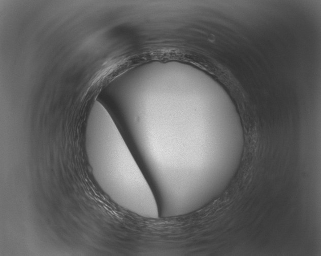 X0000085740823200703160901
