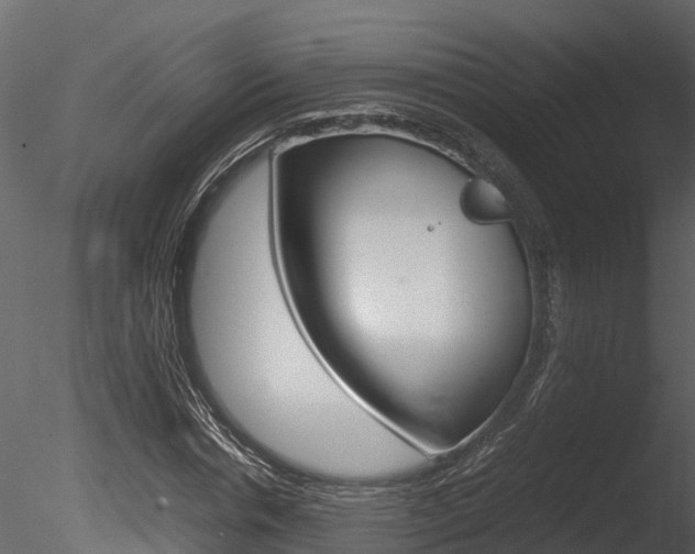 X0000085740826200703160901