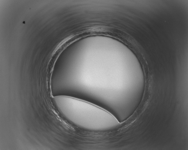 X0000085740829200703160901