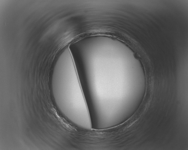 X0000085740833200703160901