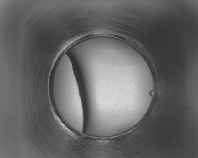 X0000085740839200703160901