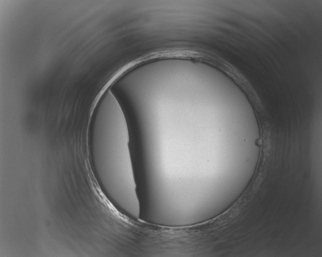 X0000085740852200703160901