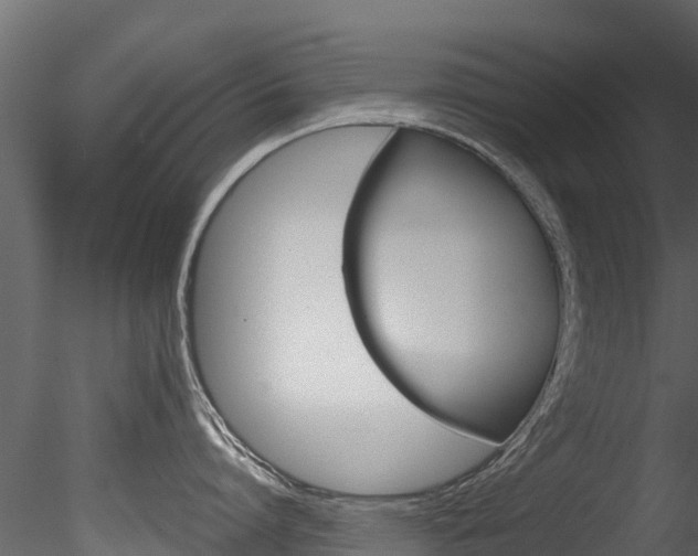 X0000085740864200703160901
