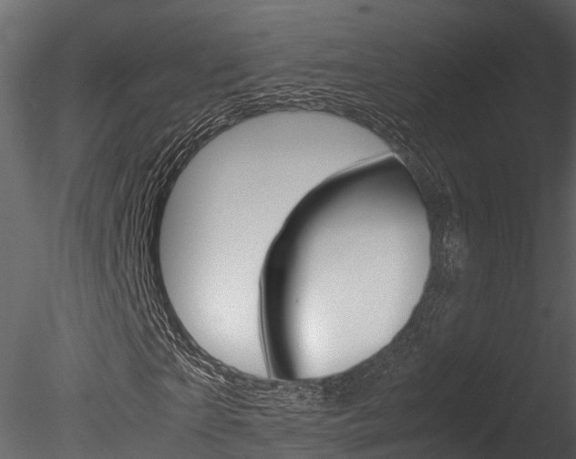 X0000085740865200703160900