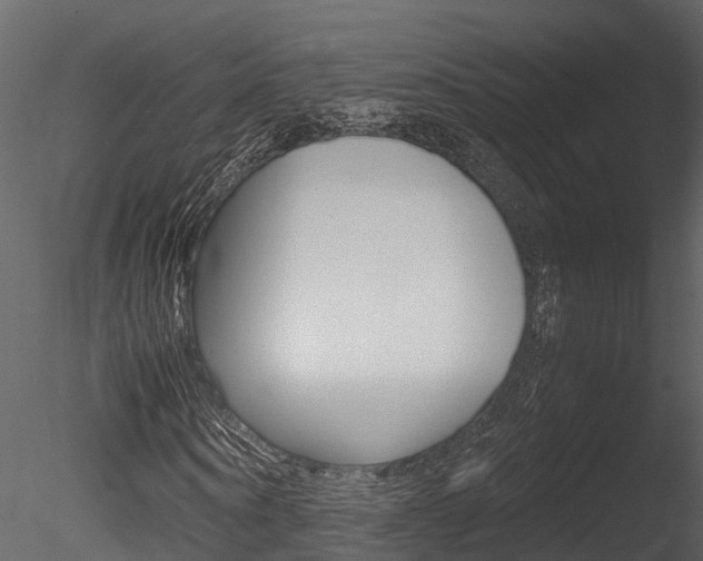 X0000085740866200703160900