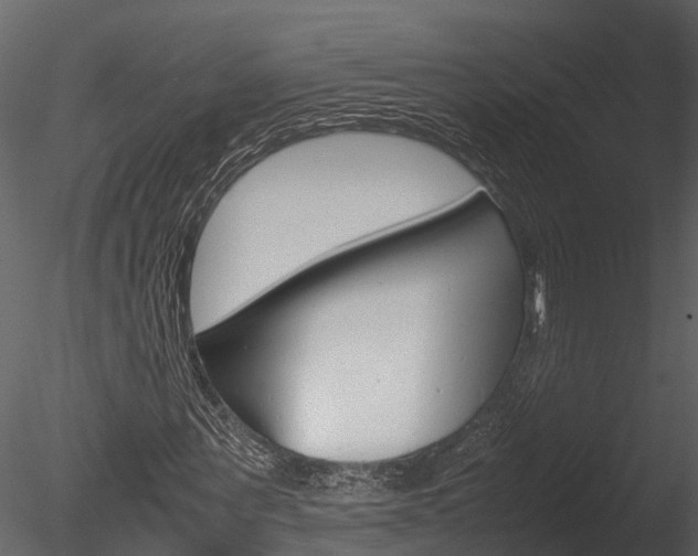 X0000085740867200703160900