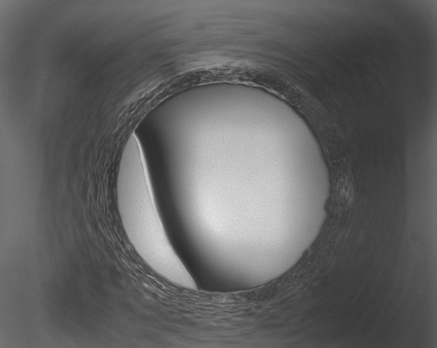 X0000085740869200703160900