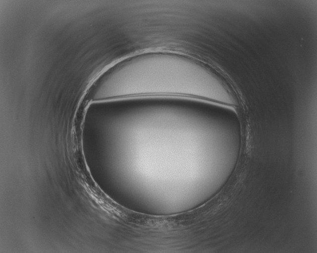 X0000085740876200703160900