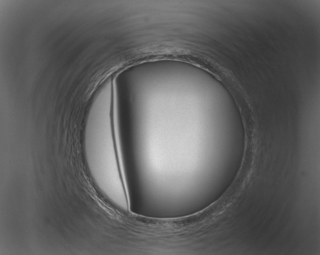 X0000085740881200703160900