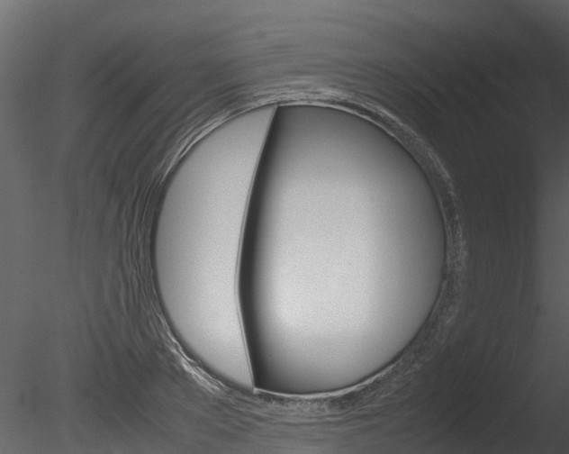 X0000085740889200703160900