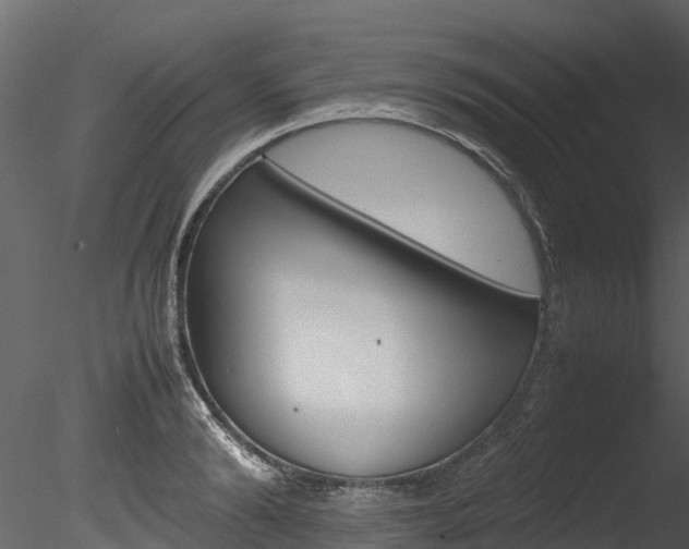 X0000085740894200703160900