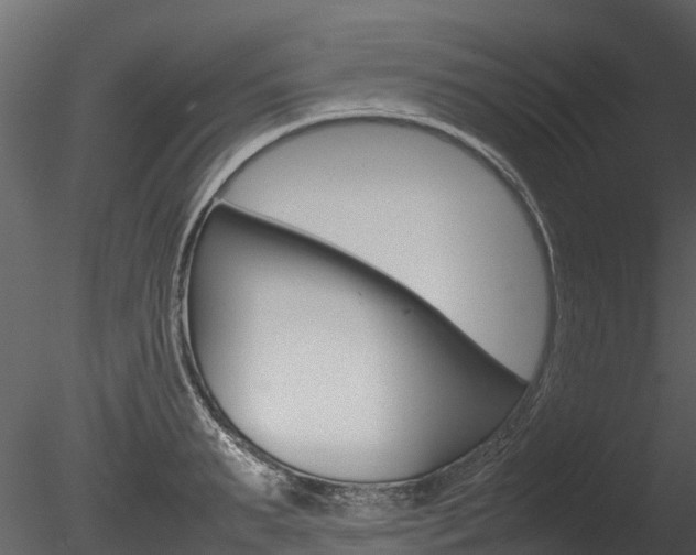 X0000085740895200703160900