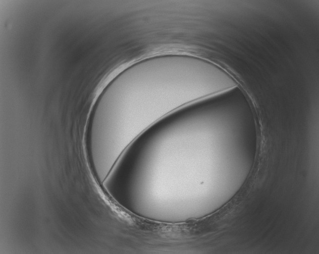 X0000085740901200703160900