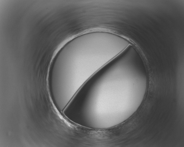 X0000085740902200703160900