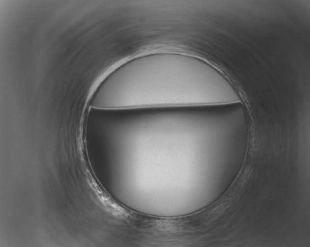 X0000085740904200703160900
