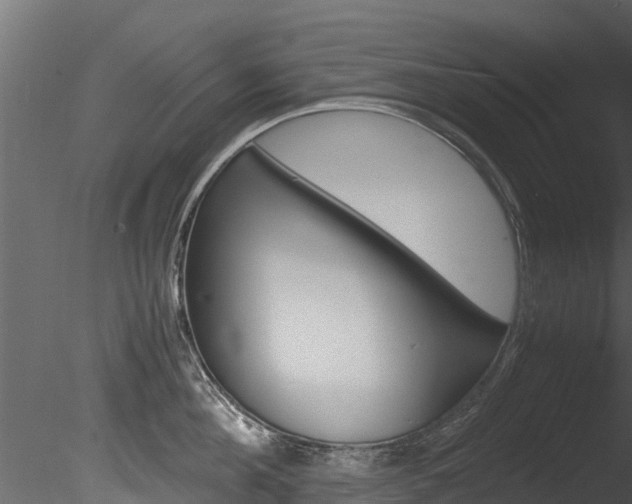 X0000085740908200703160900