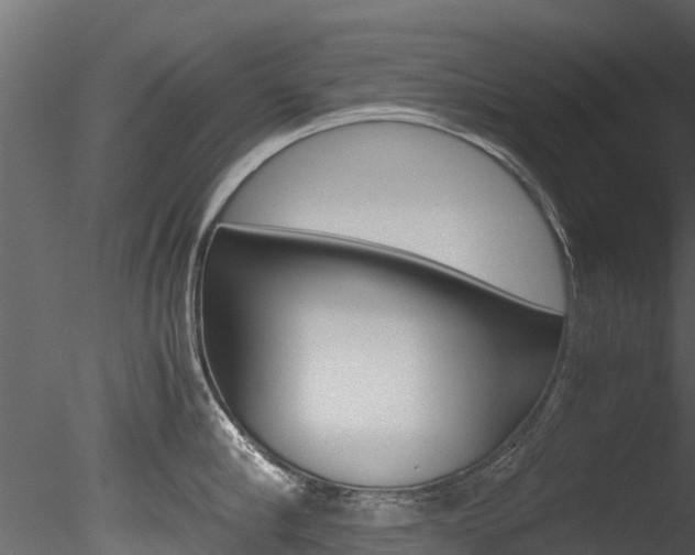 X0000085740910200703160900