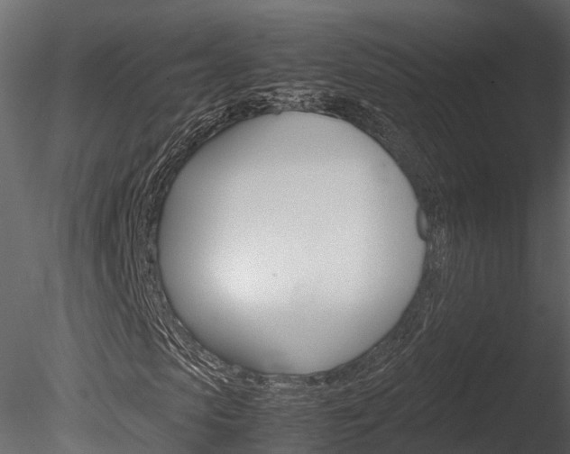 X0000085740913200703160859