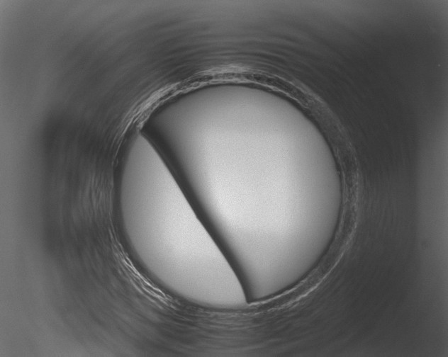 X0000085740921200703160859