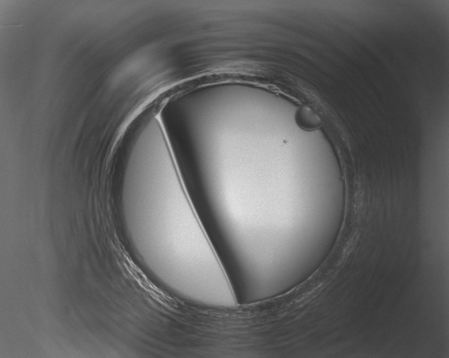 X0000085740923200703160859