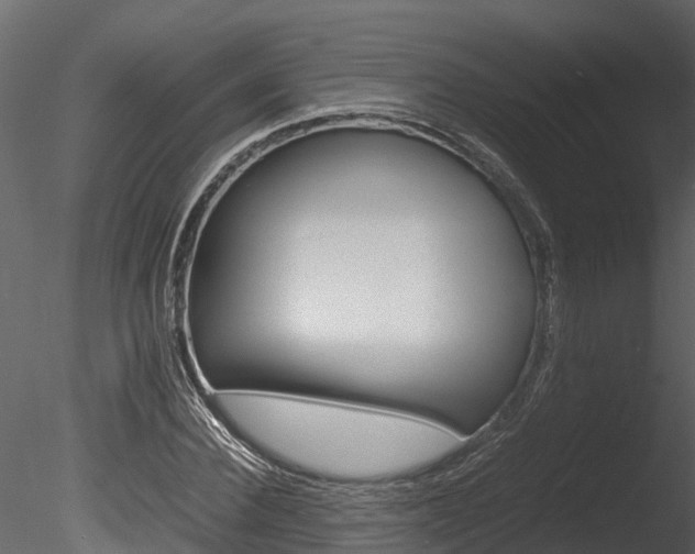 X0000085740924200703160859