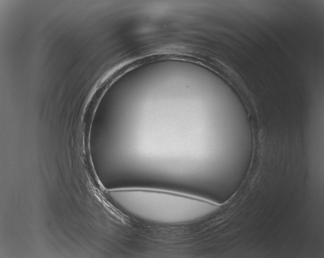 X0000085740931200703160859