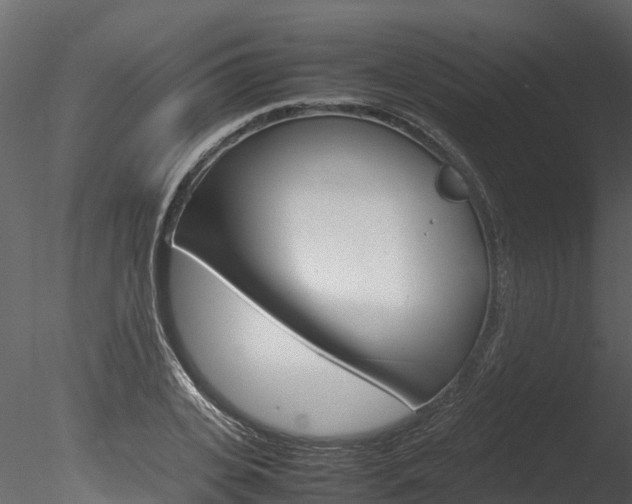 X0000085740935200703160859