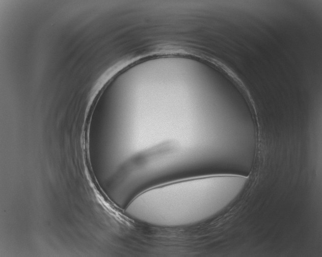 X0000085740951200703160859