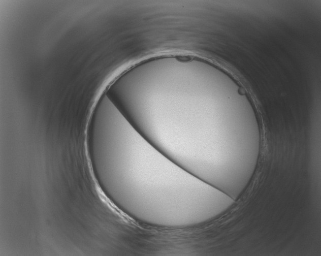 X0000085740958200703160900
