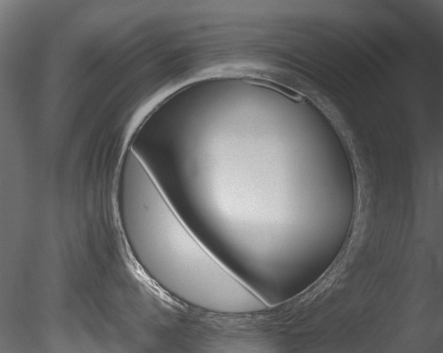 X0000085740960200703160900
