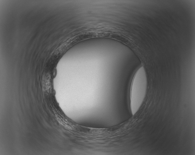 X0000085740963200703160859