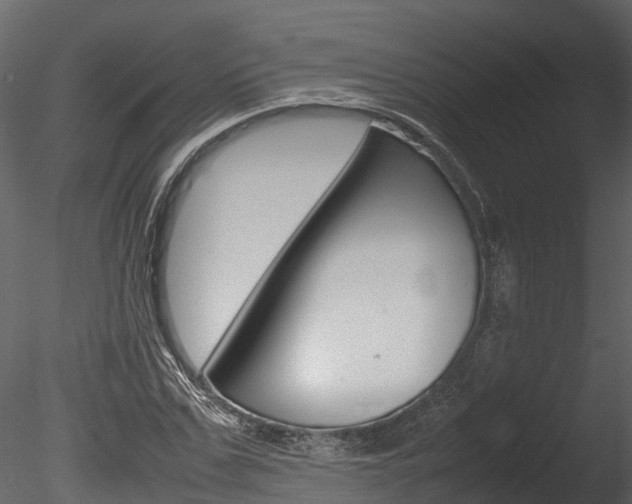 X0000085740971200703160859