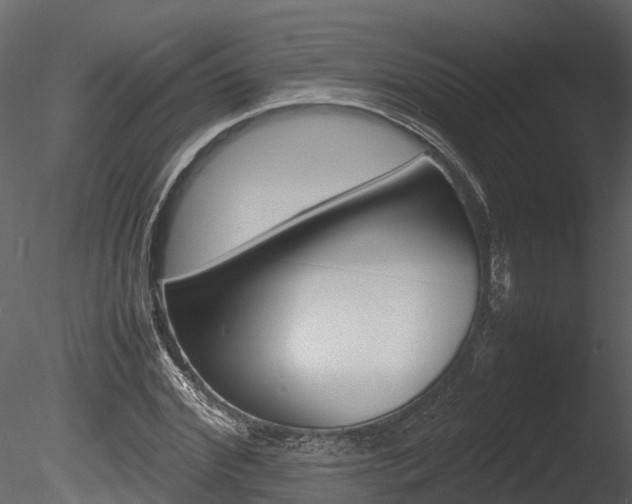 X0000085740972200703160859