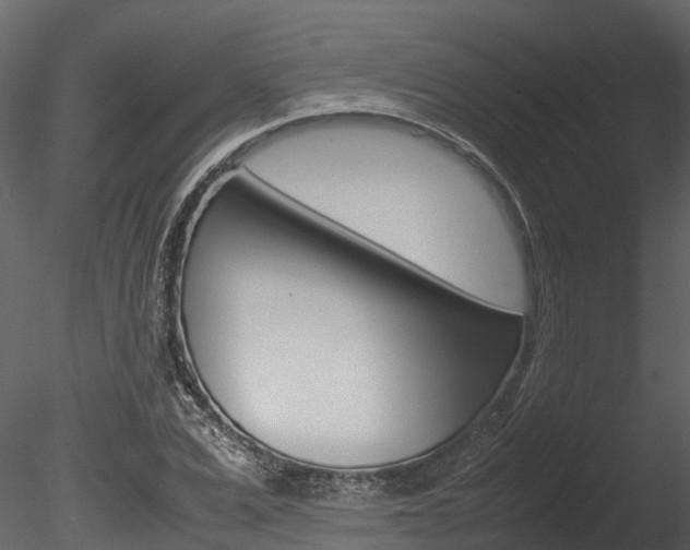 X0000085740975200703160859