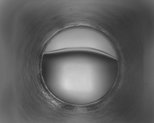 X0000085740977200703160858