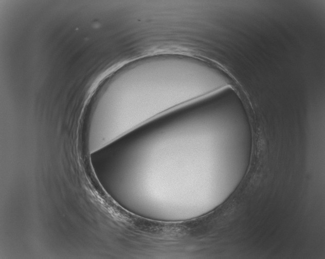 X0000085740979200703160858