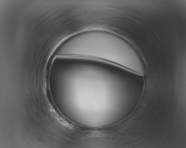 X0000085740984200703160858