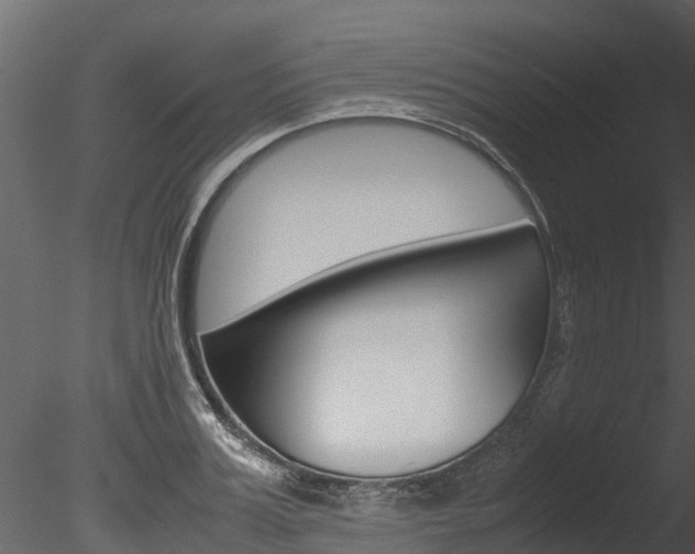 X0000085740987200703160858