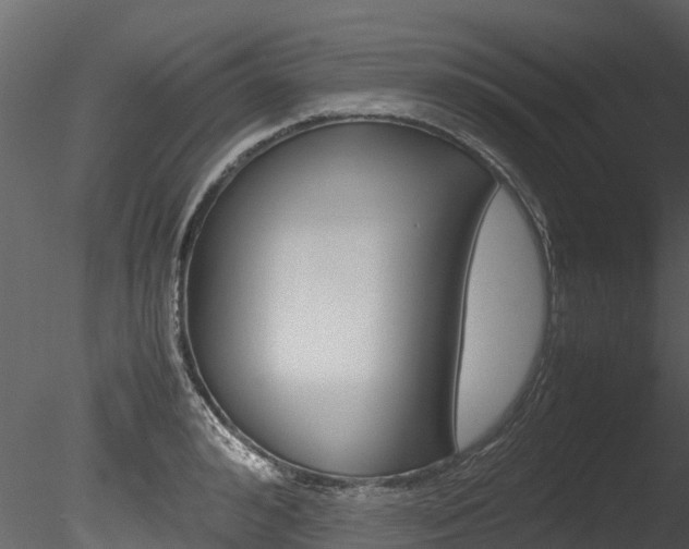 X0000085740992200703160858