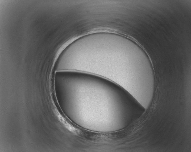 X0000085740995200703160858