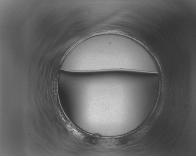 X0000085741001200703160858